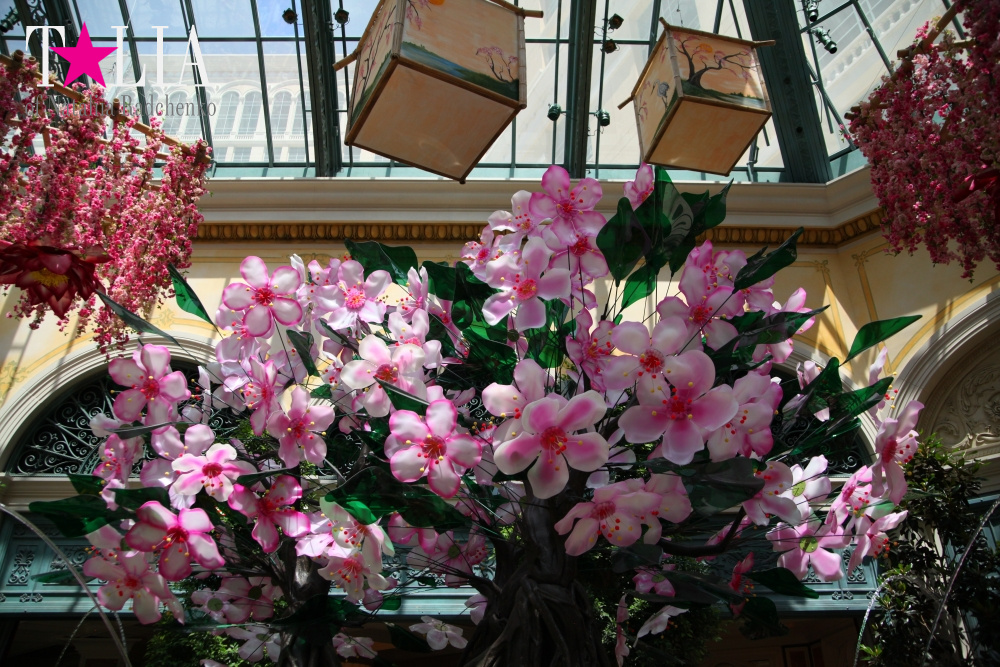 Ботанический сад в отеле Белладжио Лас Вегас, Невада, США