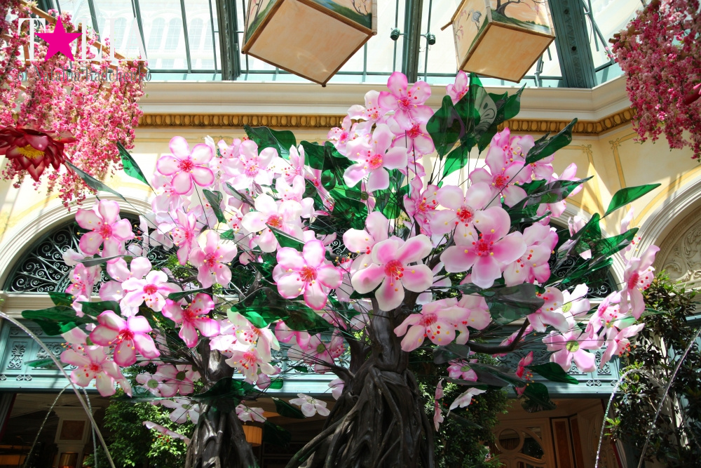 Ботанический сад в отеле Белладжио Лас Вегас, Невада, США