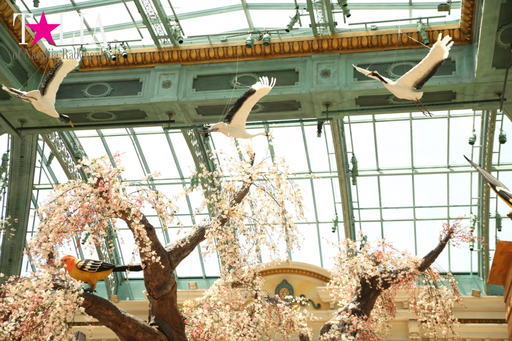 Ботанический сад в отеле Белладжио Лас Вегас, Невада, США