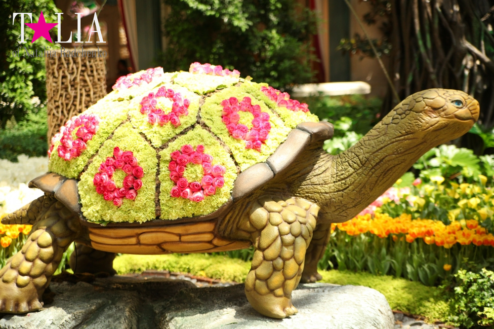 Ботанический сад в отеле Белладжио Лас Вегас, Невада, США