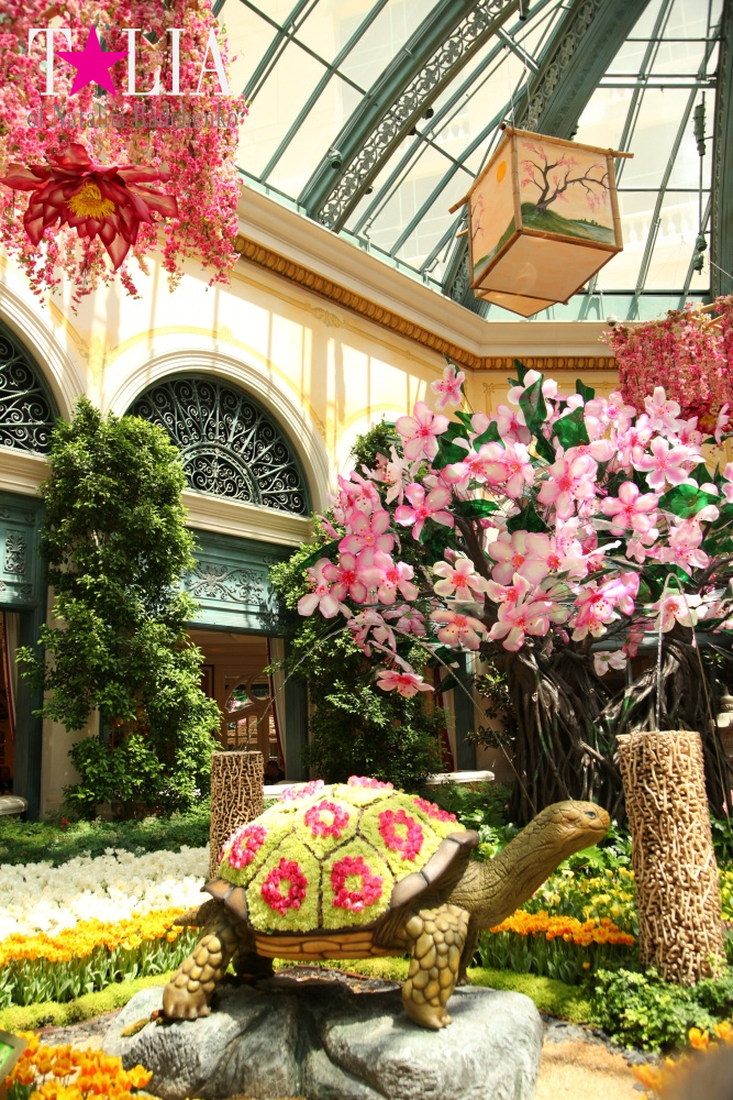 Ботанический сад в отеле Белладжио Лас Вегас, Невада, США