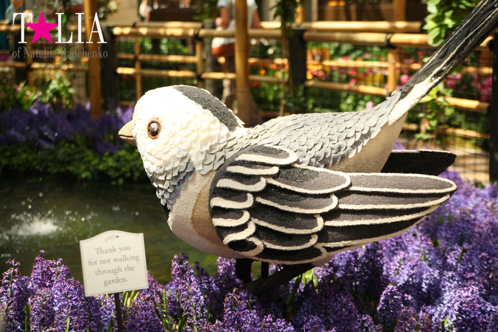 Ботанический сад в отеле Белладжио Лас Вегас, Невада, США