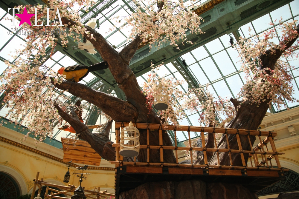 Ботанический сад в отеле Белладжио Лас Вегас, Невада, США