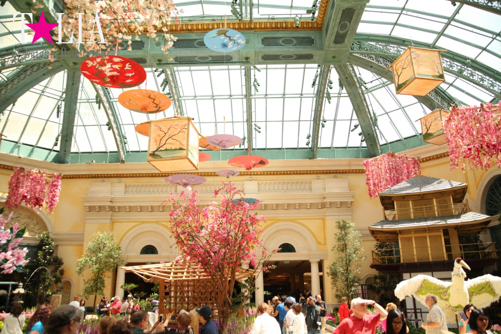 Ботанический сад в отеле Белладжио Лас Вегас, Невада, США