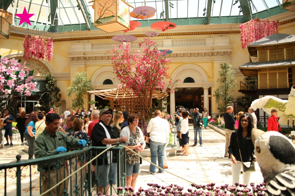 Ботанический сад в отеле Белладжио Лас Вегас, Невада, США