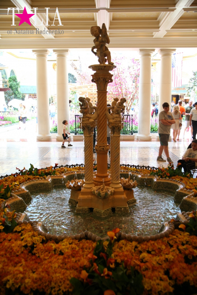 Ботанический сад в отеле Белладжио Лас Вегас, Невада, США