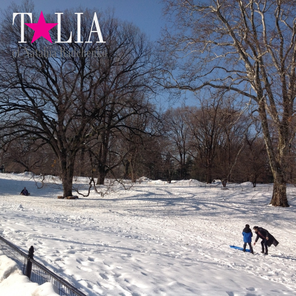 Центральный парк, Манхэттен, Нью-Йорк