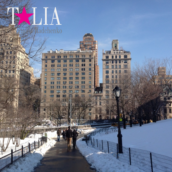 Зима. Центральный парк Нью-Йорка хорош в любое время года!