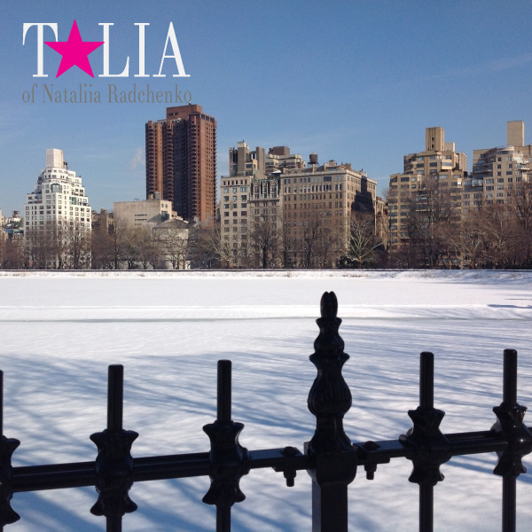 Зима. Центральный парк Нью-Йорка хорош в любое время года!