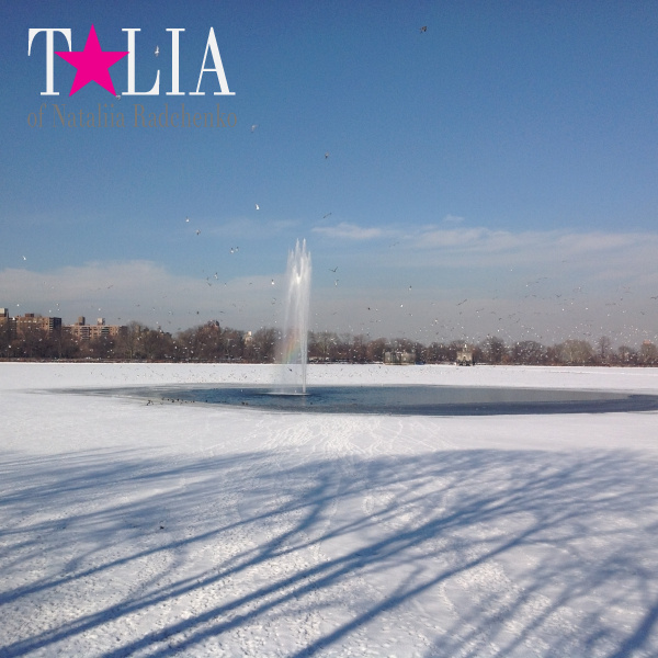 Зима. Фонтан посреди озера. Центральный парк Нью-Йорка хорош в любое время года!