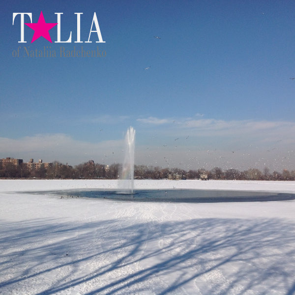 Озеро в Центральном парке. Манхэттен