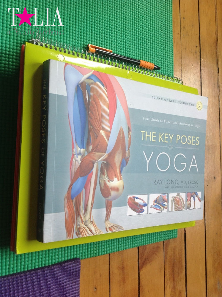 Мои 10 недель сертификации как преподавателя Виньяса-Йоги