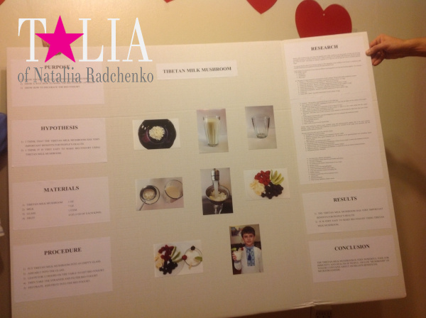 Проект по науке. Наша Тема ''Влияние молочного гриба на организм человека''. Американская школа.