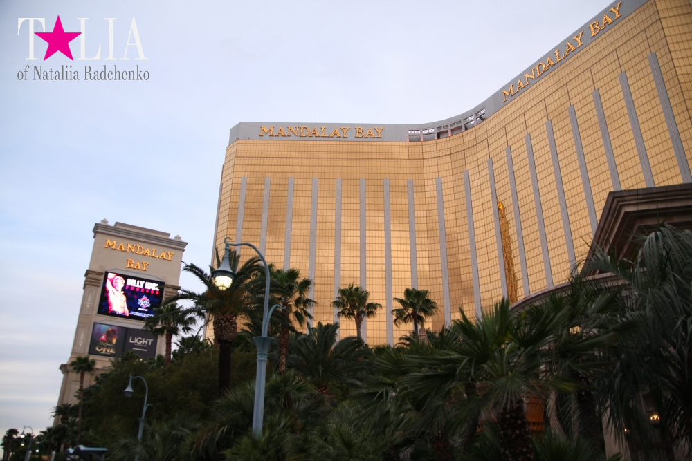Отель Мандалей Бэй в Лас Вегасе, Невада, США