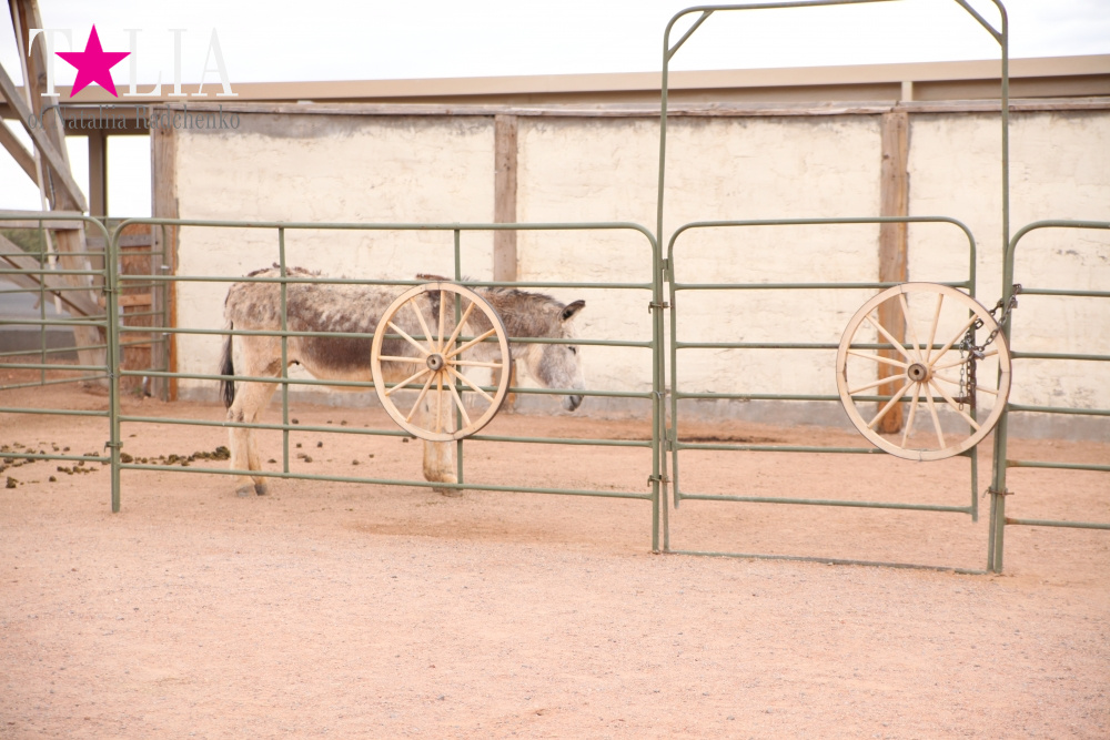 Индейская деревня Уалапай, Аризона, США