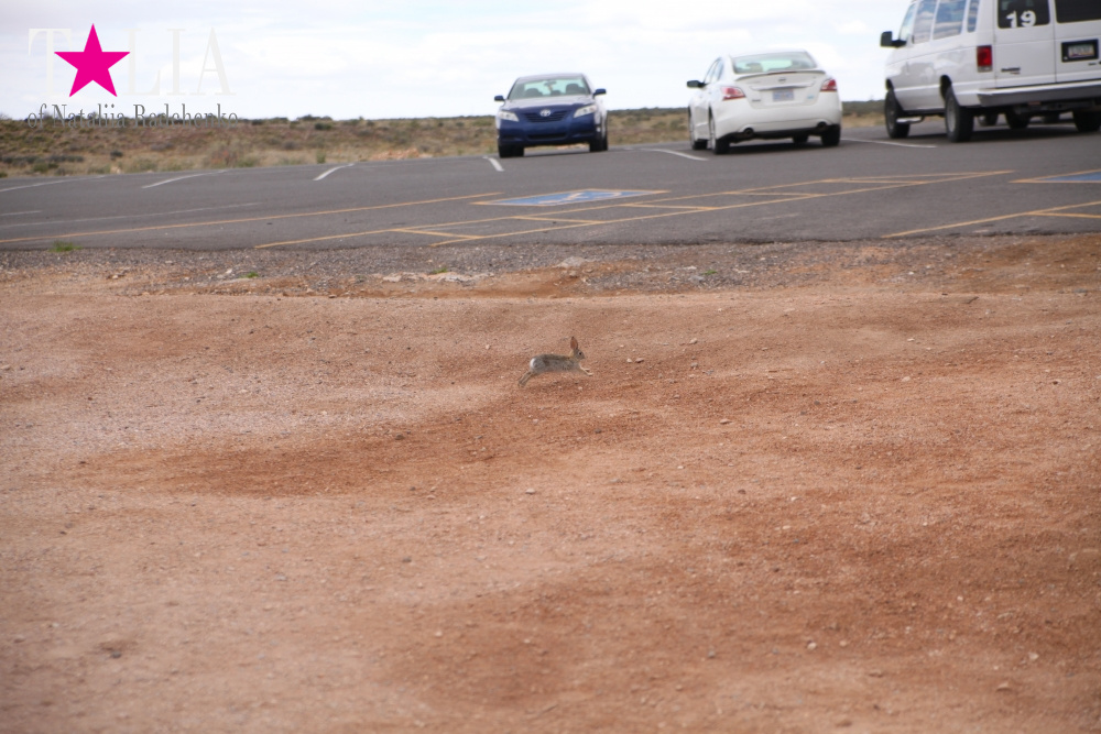 Индейская деревня Уалапай, Аризона, США