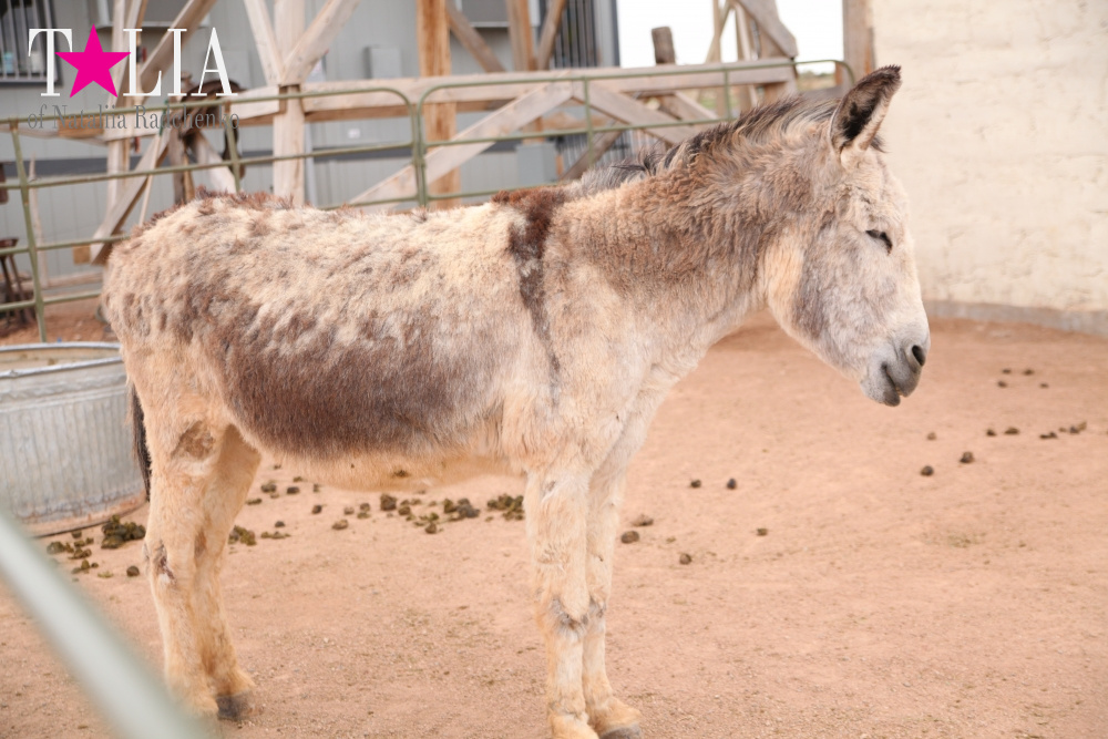Индейская деревня Уалапай, Аризона, США