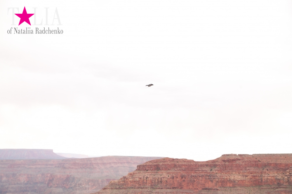 Гранд Каньон - что посмотреть (штат Аризона, США)