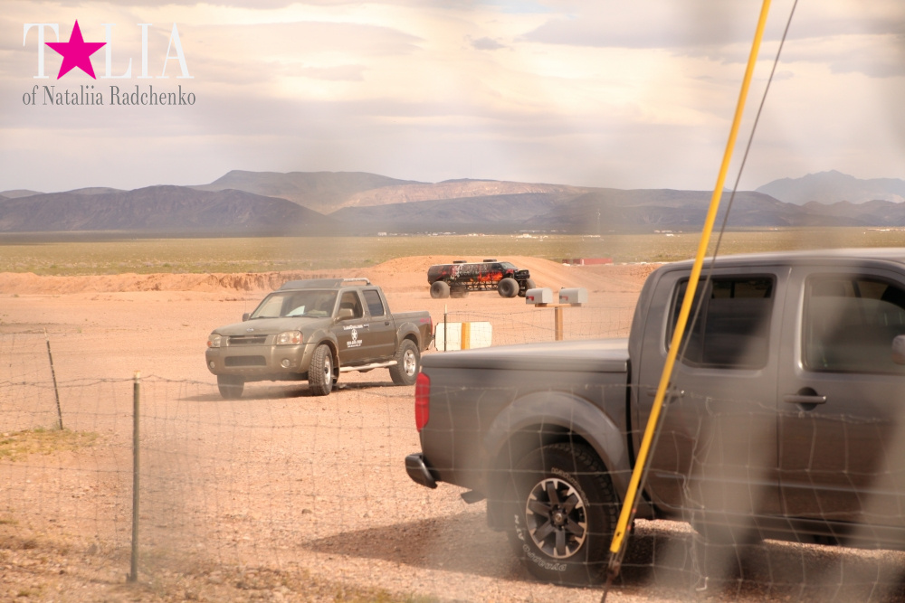 Сафари в пустыне Мохаве и типичная американская заправка в Аризоне