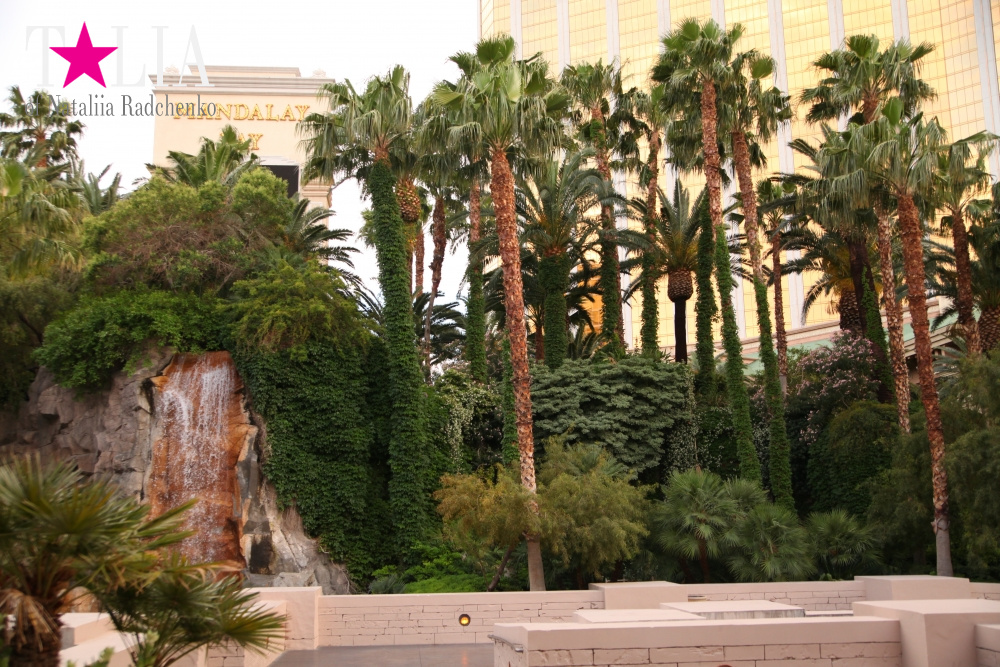 Отель Мандалей Бэй в Лас Вегасе, Невада, США