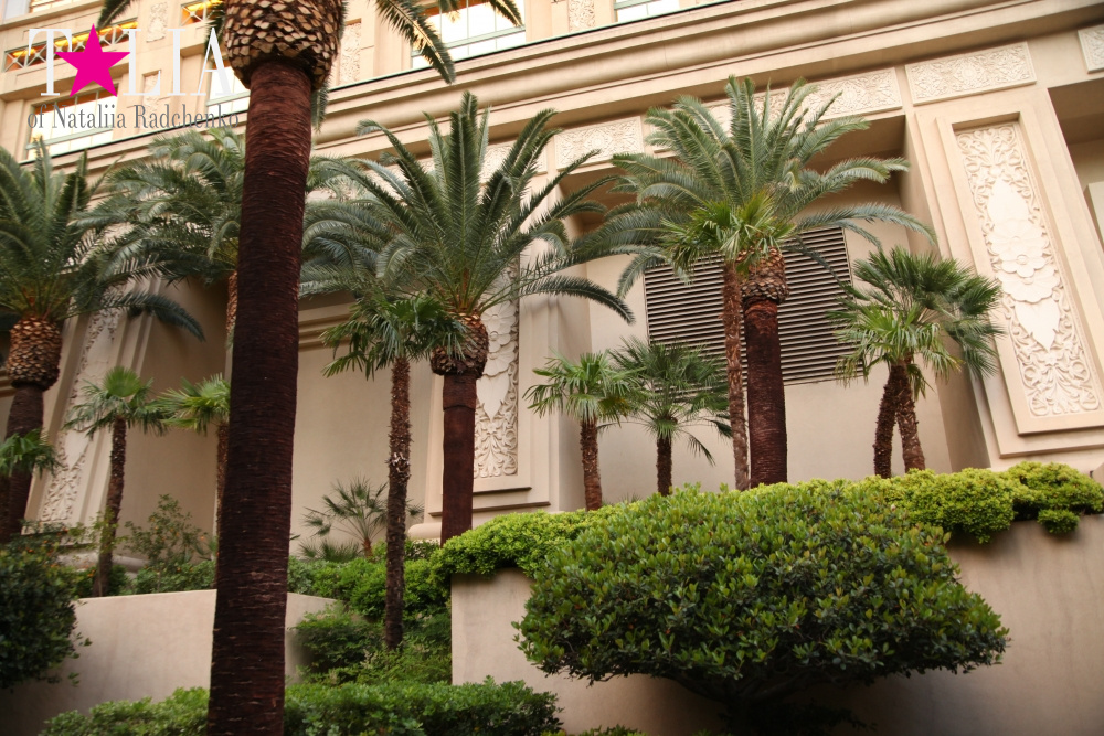 Отель Мандалей Бэй в Лас Вегасе, Невада, США