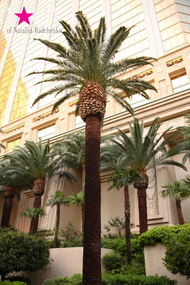 Отель Мандалей Бэй в Лас Вегасе, Невада, США