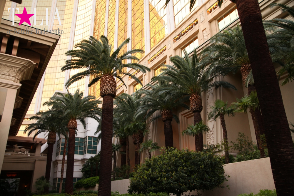 Отель Мандалей Бэй в Лас Вегасе, Невада, США