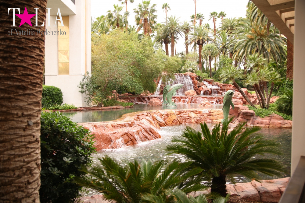 Отель Мираж в Лас Вегасе - оранжерея, Невада, США