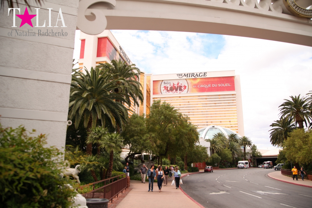 Отель Мираж в Лас Вегасе - оранжерея, Невада, США