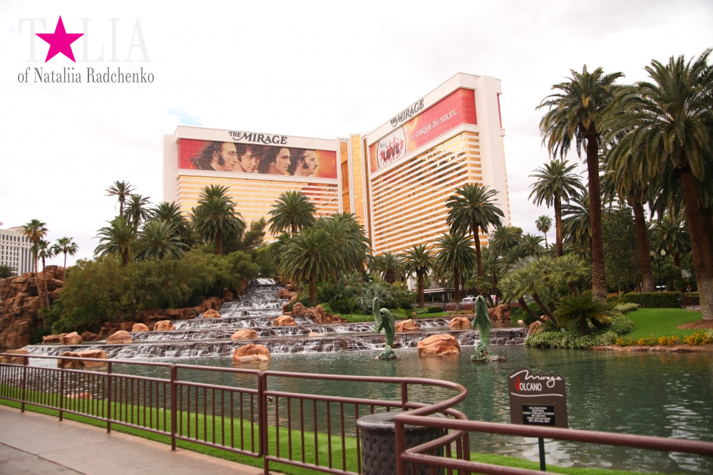 Отель Мираж в Лас Вегасе - оранжерея, Невада, США