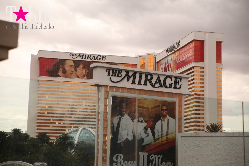 Отель Мираж в Лас Вегасе - оранжерея, Невада, США