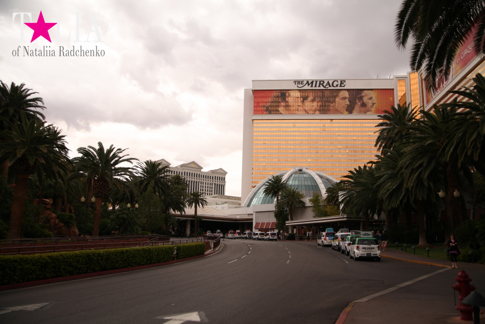Отель Мираж в Лас Вегасе - оранжерея, Невада, США
