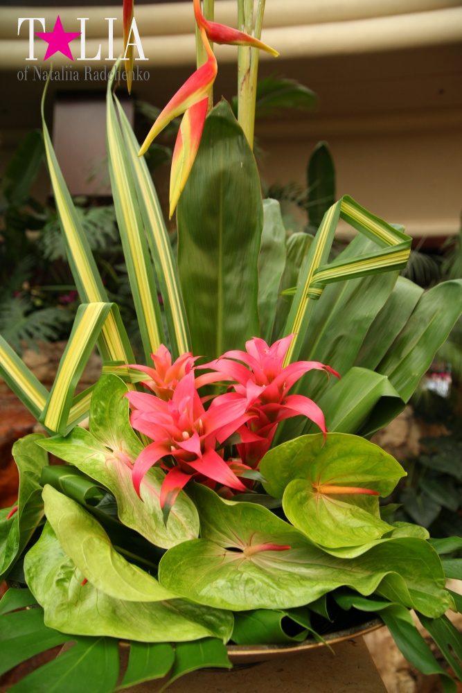 Отель Мираж в Лас Вегасе - оранжерея, Невада, США