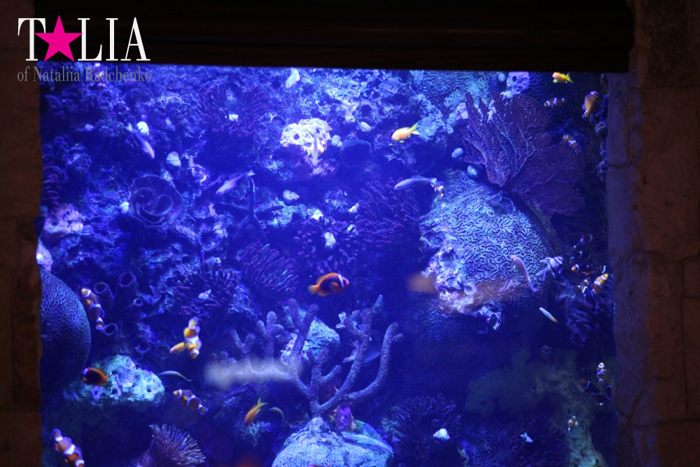 Отель Мираж в Лас Вегасе - оранжерея, Невада, США