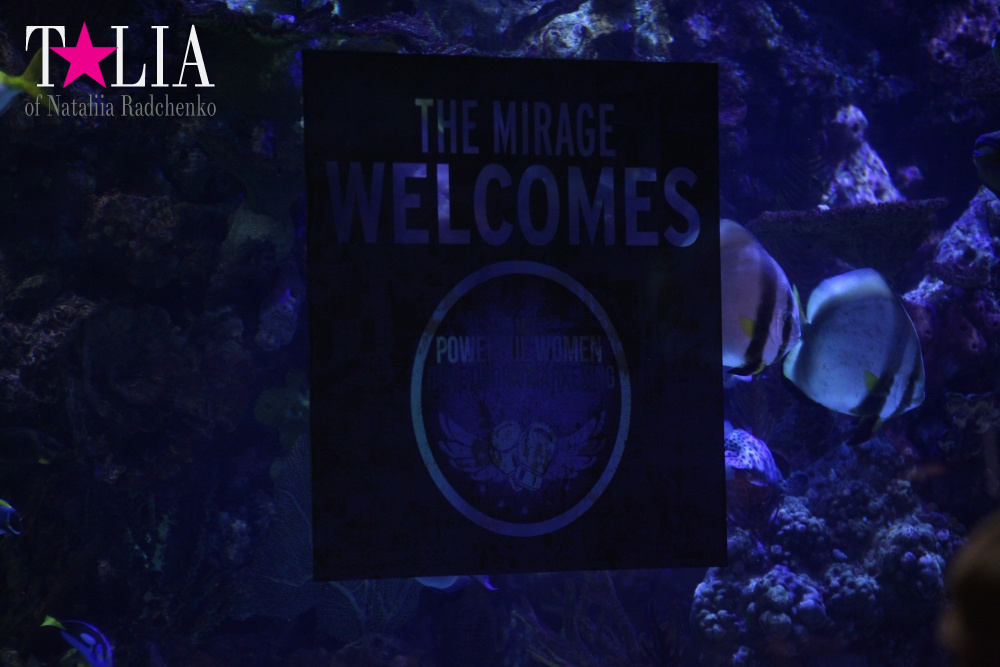 Отель Мираж в Лас Вегасе - оранжерея, Невада, США