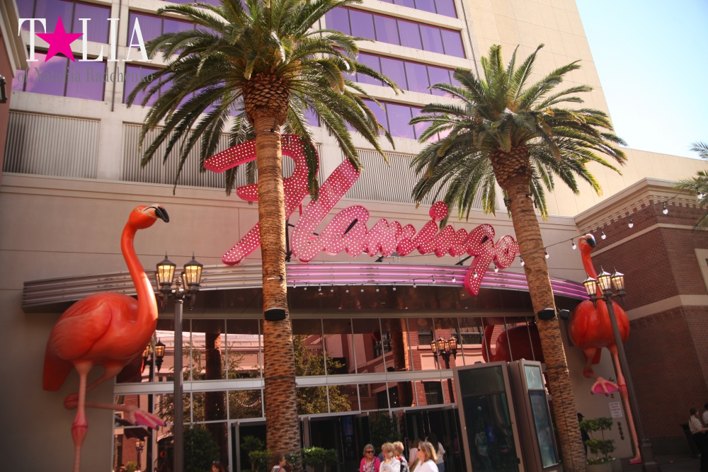 Главная улица Лас Вегаса - Стрип, с самыми дорогимы отелями в мире