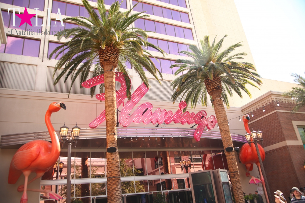 Самое большое в мире Колесо Обозрения в Лас Вегасе