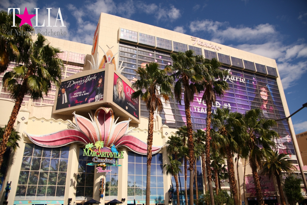 Самое большое в мире Колесо Обозрения в Лас Вегасе