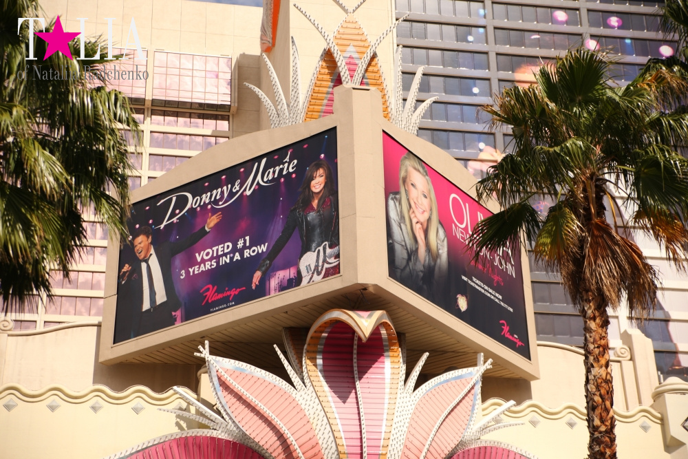 Самое большое в мире Колесо Обозрения в Лас Вегасе