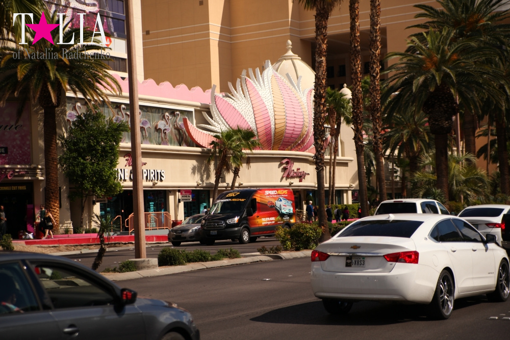 Самое большое в мире Колесо Обозрения в Лас Вегасе