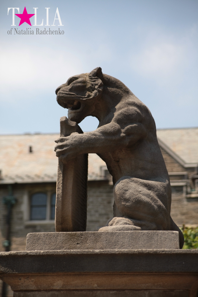 Принстонский Университет в Нью-Джерси, США (2 часть)