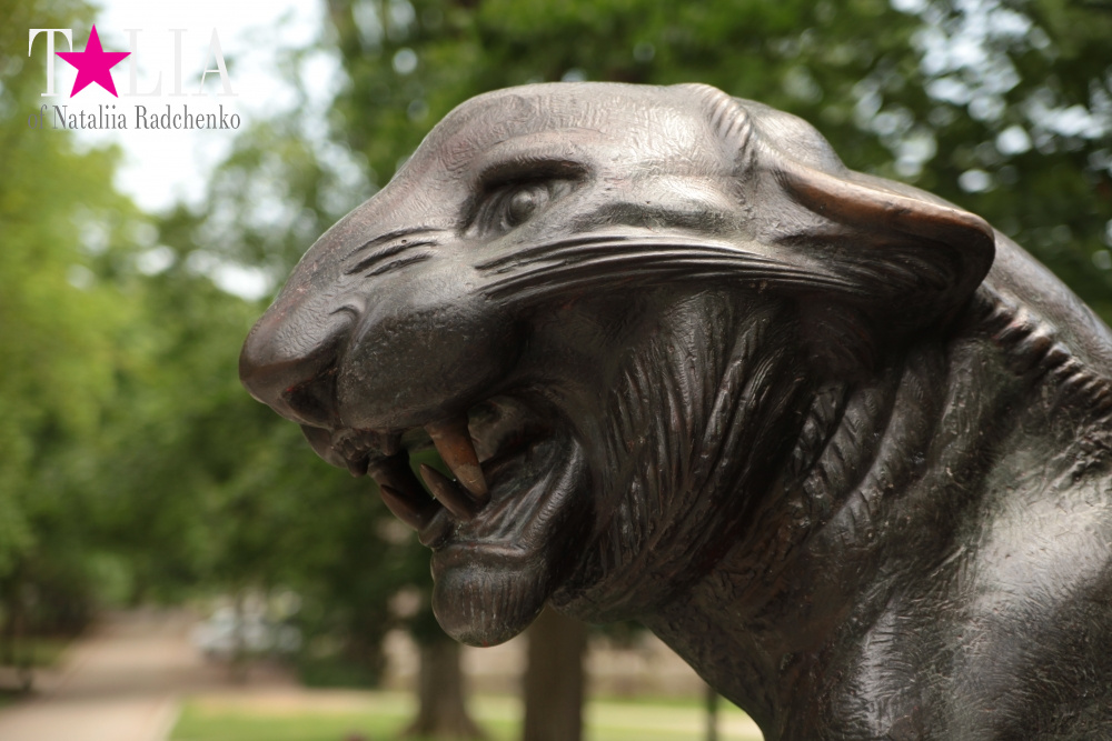 Принстонский Университет в Нью-Джерси, США (2 часть)