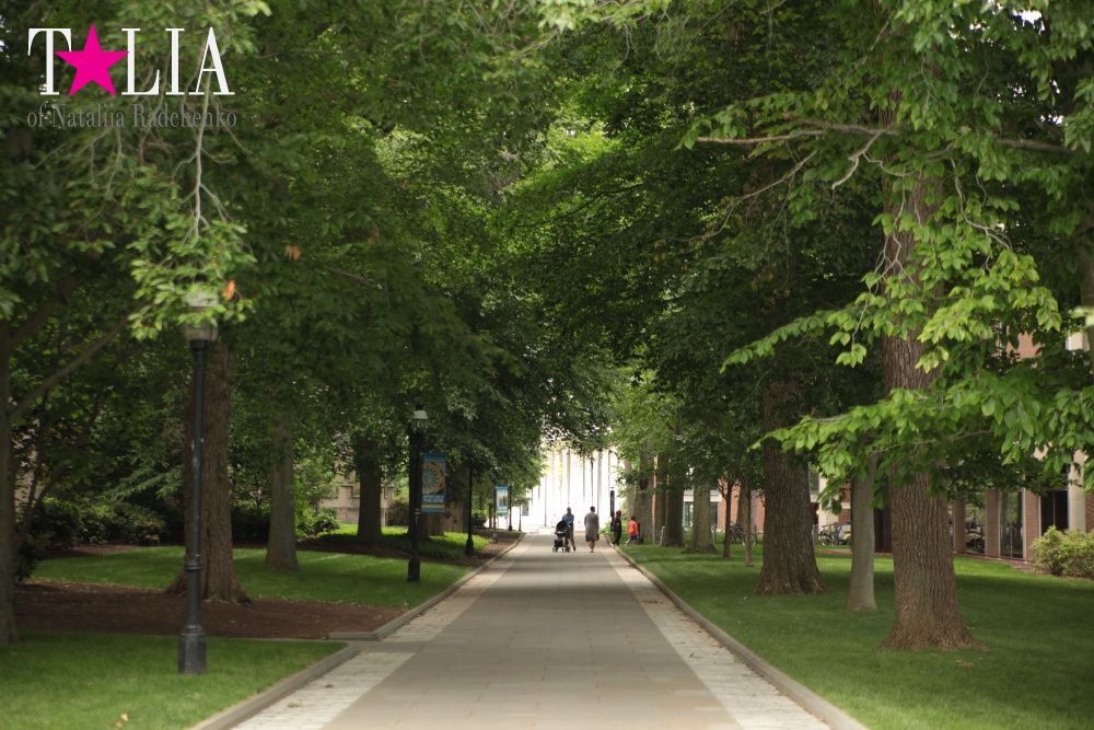 Принстонский Университет в Нью-Джерси, США