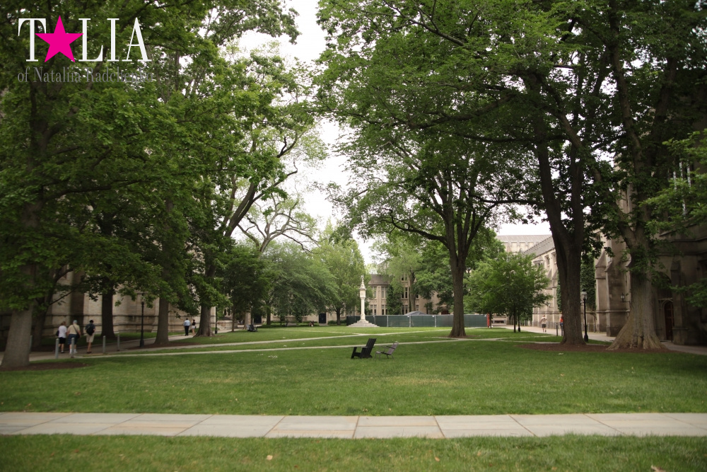 Принстонский Университет в Нью-Джерси, США