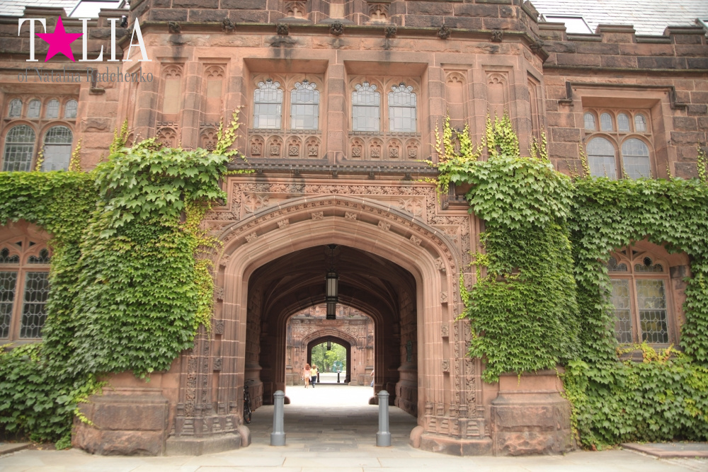 Принстонский Университет в Нью-Джерси, США