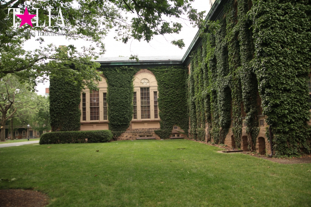 Принстонский Университет в Нью-Джерси, США