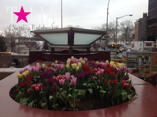 Манхэттен, Нью-Йорк.