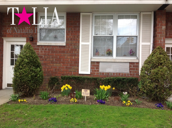 У большинства людей День матери ассоциируется с весной. Он совпадает с цветением деревьев и первых весенних цветов.