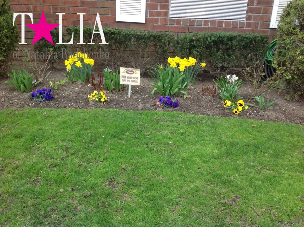 У большинства людей День матери ассоциируется с весной. Он совпадает с цветением деревьев и первых весенних цветов.