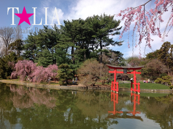 Бруклинский Ботанический Сад в Нью-Йорке (Brooklyn Botanic Garden)